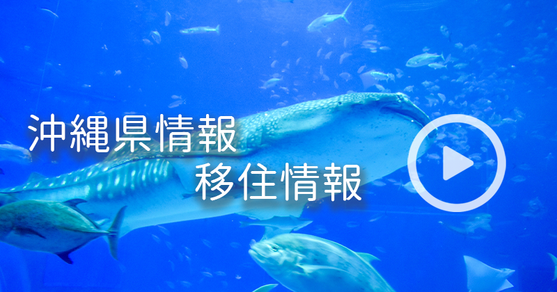 沖縄県情報